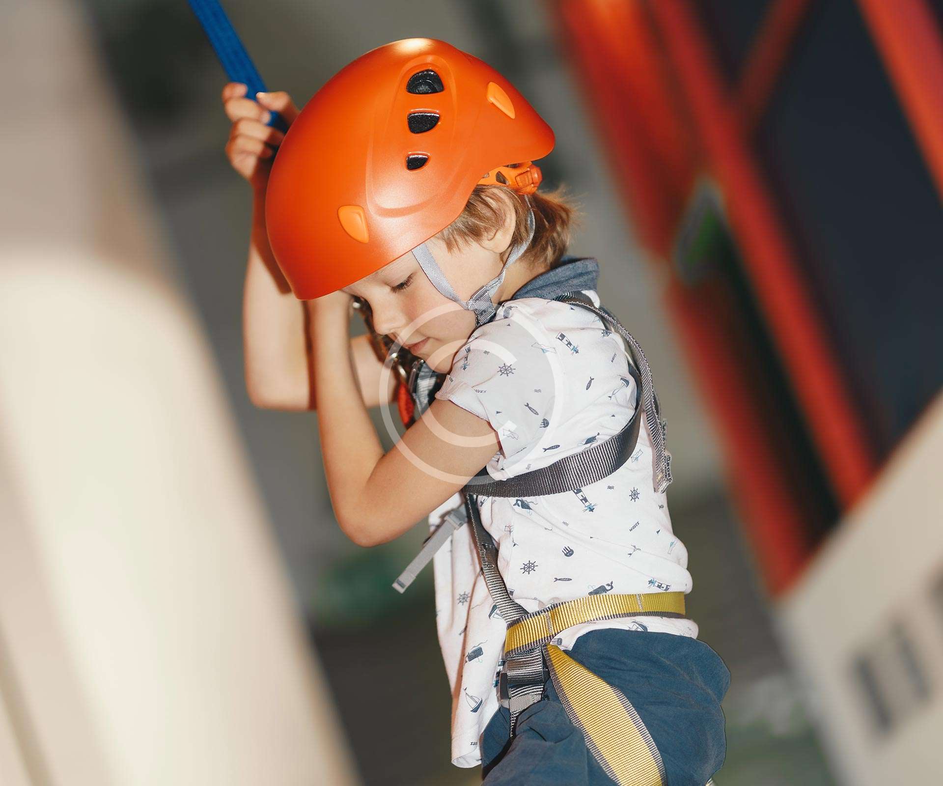 home4-image2-copyright